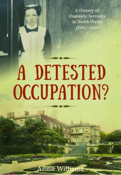 Cover image for A Detested Occupation?, isbn: 9781845275563