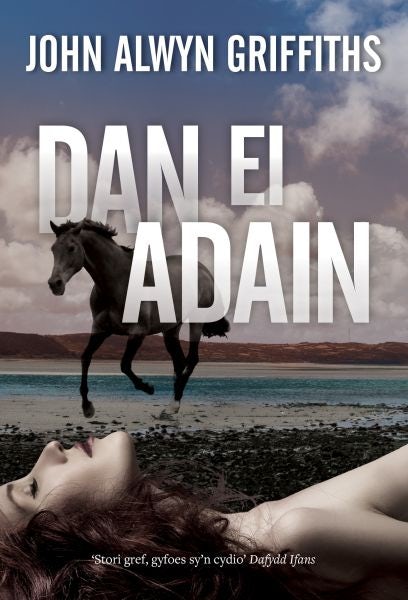 Cover image for Dan ei Adain, isbn: 9781845276058