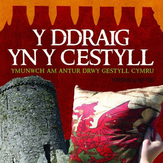 Cover image for Y Ddraig yn y Cestyll, isbn: 9781845276812