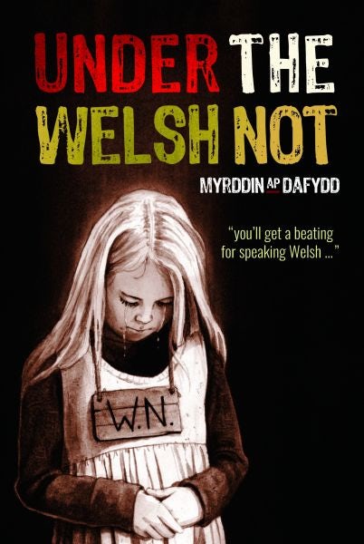 Cover image for Under the Welsh Not, isbn: 9781845276836