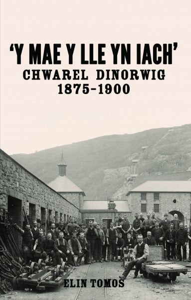 Cover image for 'Y Mae y Lle yn Iach' - Chwarel Dinorwig 1875-1900, isbn: 9781845277284