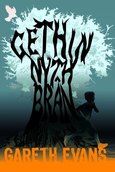 Cover image for Gethin Nyth Brân, isbn: 9781845277574