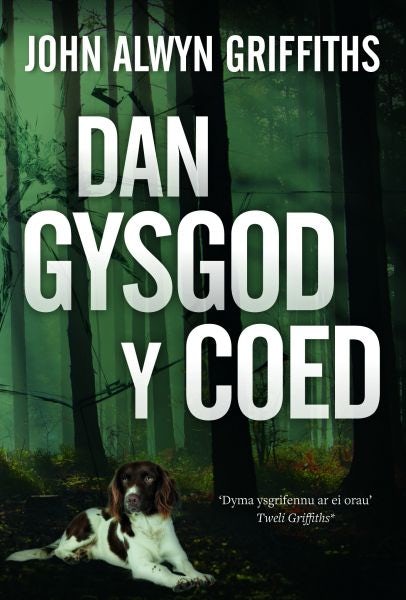 Cover image for Dan Gysgod y Coed, isbn: 9781845278595