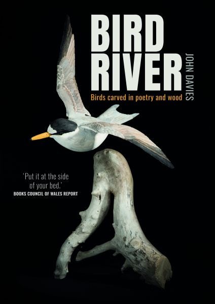 Cover image for Bird River, isbn: 9781845279370