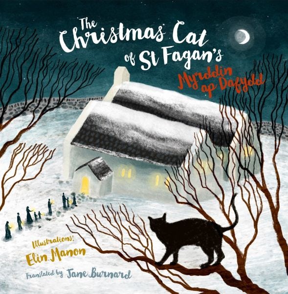 Cover image for The Christmas Cat at St Fagan's, isbn: 9781845279400