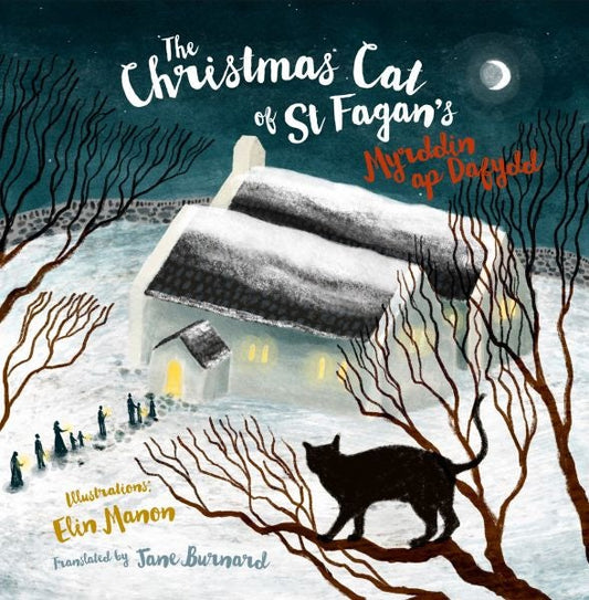 Cover image for The Christmas Cat at St Fagan's, isbn: 9781845279400