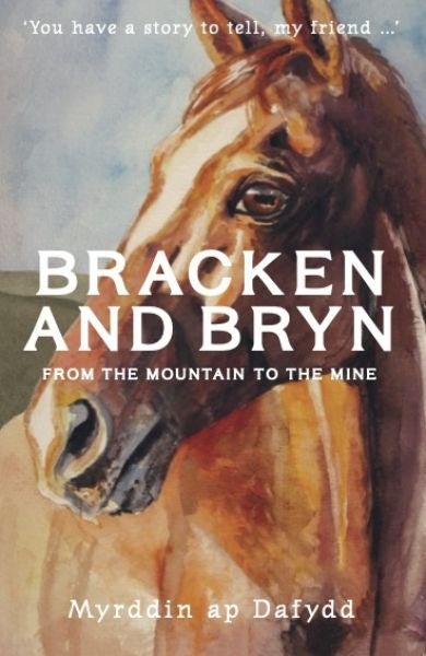 Cover image for Bracken and Bryn - from the mountain to the mine, isbn: 9781845279592