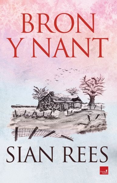 Cover image for Bron y Nant, isbn: 9781845279639