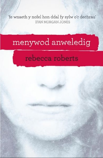 Cover image for Menywod Anweledig, isbn: 9781845279929