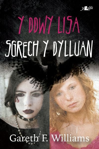 Cover image for Cyfres y Dderwen: Y Ddwy Lisa - Sgrech y Dylluan, isbn: 9781847711915