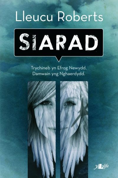 Cover image for Cyfres y Dderwen: Siarad, isbn: 9781847713469