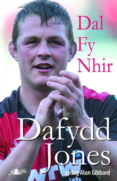 Cover image for Dal fy Nhir - Hunangofiant Dafydd Jones, isbn: 9781847713575