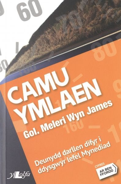 Cover image for Cyfres ar Ben Ffordd: Camu Ymlaen - Lefel 1 Mynediad, isbn: 9781847714596
