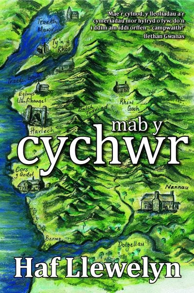 Cover image for Mab y Cychwr, isbn: 9781847715081