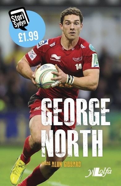 Cover image for Stori Sydyn: George North, isbn: 9781847716361