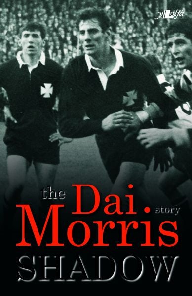 Cover image for Shadow - The Dai Morris Story, isbn: 9781847716538