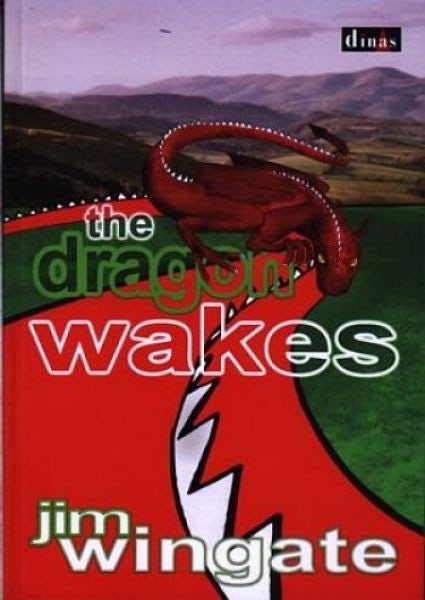 Cover image for The Dragon Wakes, isbn: 9781847717597