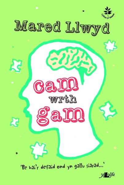 Cover image for Cyfres yr Onnen: Cam wrth Gam, isbn: 9781847718396