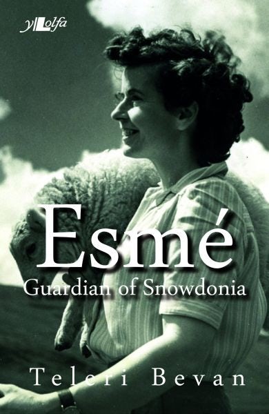 Cover image for Esmé - Guardian of Snowdonia, isbn: 9781847719553