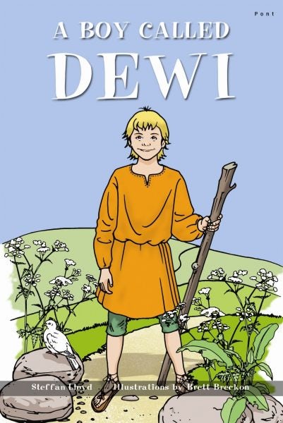 Cover image for Boy Called Dewi, A, isbn: 9781848511538