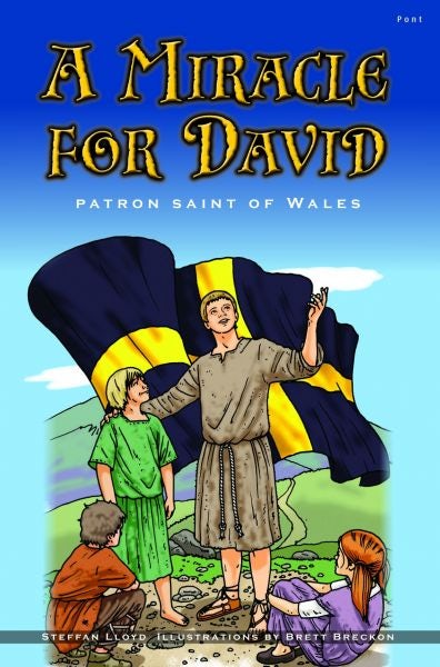 Cover image for Miracle for David, A - Patron Saint of Wales, isbn: 9781848511651