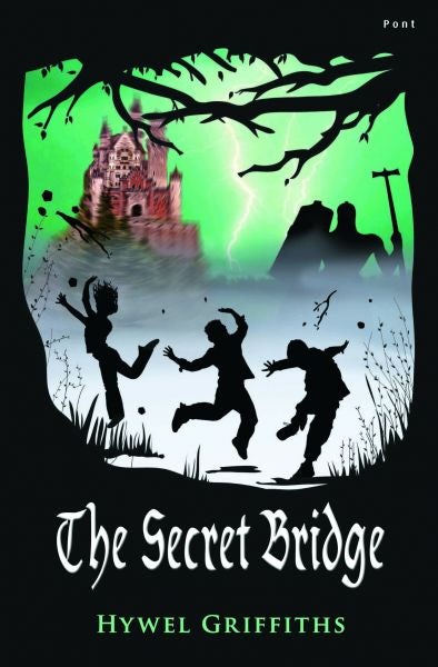 Cover image for The Secret Bridge, isbn: 9781848514614
