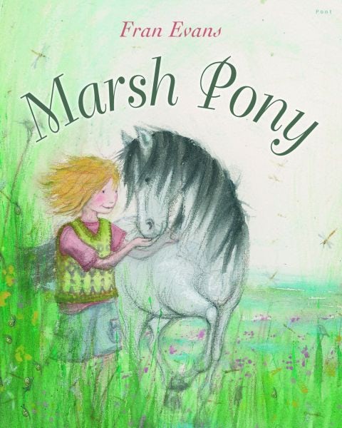 Cover image for Marsh Pony, isbn: 9781848516496
