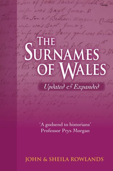 Cover image for The Surnames of Wales, isbn: 9781848517752