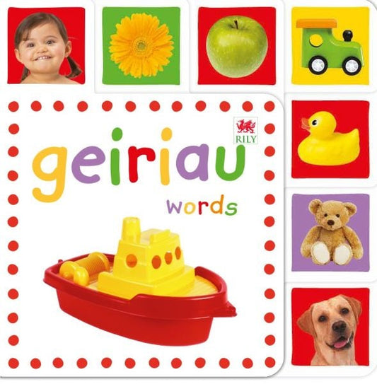 Cover image for Geiriau / Words, isbn: 9781849670791