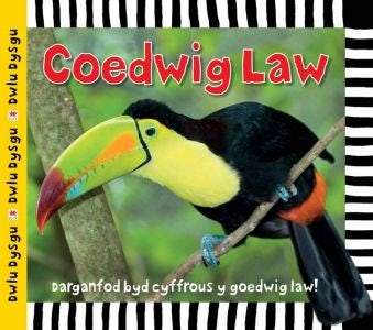 Cover image for Cyfres Dwlu Dysgu: Coedwig Law, isbn: 9781849671996