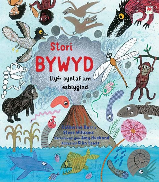 Cover image for Stori Bywyd, isbn: 9781849673983