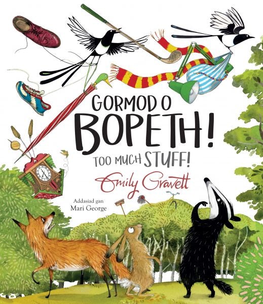 Cover image for Gormod o Bopeth! / Too Much Stuff!, isbn: 9781849674874