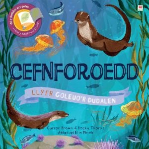 Cover image for Cyfres Goleuo'r Dudalen: Cefnforoedd, isbn: 9781849676274