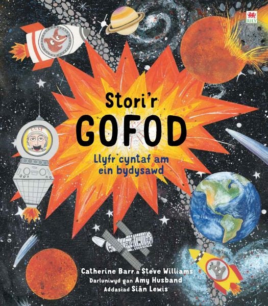 Cover image for Stori'r Gofod, isbn: 9781849677875