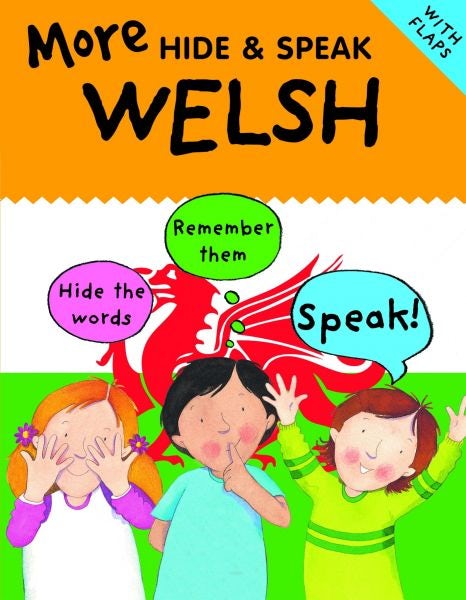 Cover image for More Hide and Speak Welsh, isbn: 9781849678377
