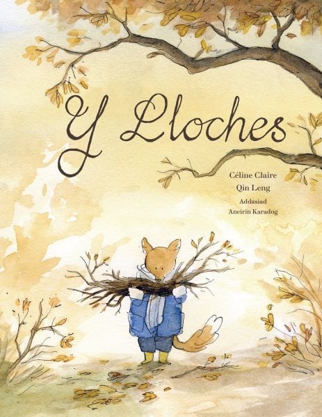 Cover image for Y Lloches, isbn: 9781849678735