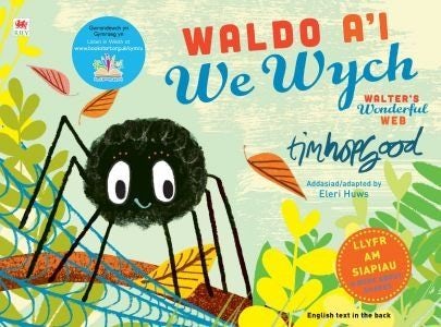 Cover image for Waldo a'i We Wych / Walter's Wonderful Web, isbn: 9781849679947