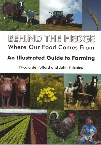 Cover image for Behind the Hedge, isbn: 9781850589198