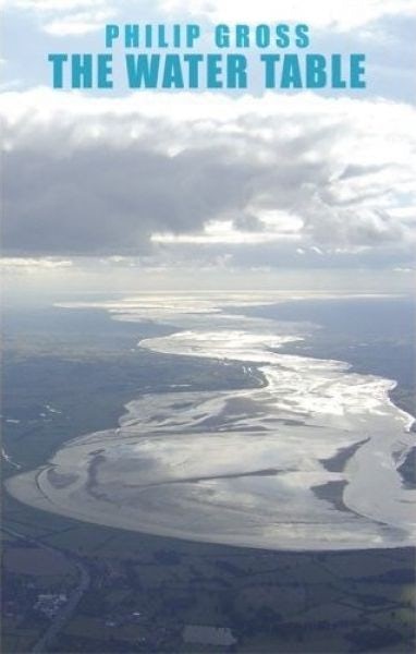 Cover image for The Water Table, isbn: 9781852248529