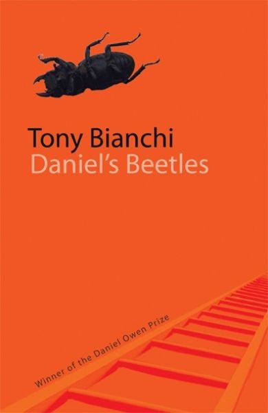 Cover image for Daniel's Beetles, isbn: 9781854115447