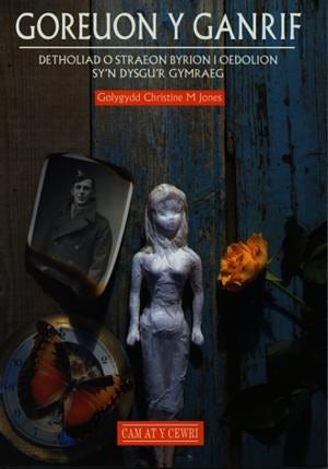 Cover image for Cyfres Cam at y Cewri: Goreuon y Ganrif, isbn: 9781859025222