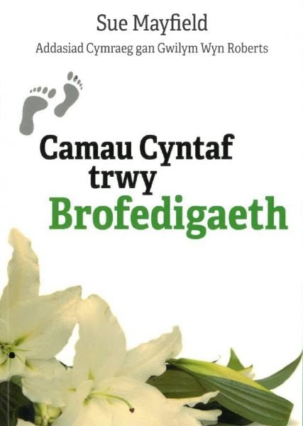 Cover image for Camau Cyntaf trwy Brofedigaeth, isbn: 9781859949191