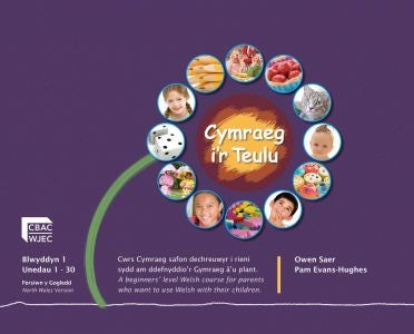 Cover image for Cwrs Cymraeg i'r Teulu Blwyddyn 1 (Fersiwn y Gogledd), isbn: 9781860856679