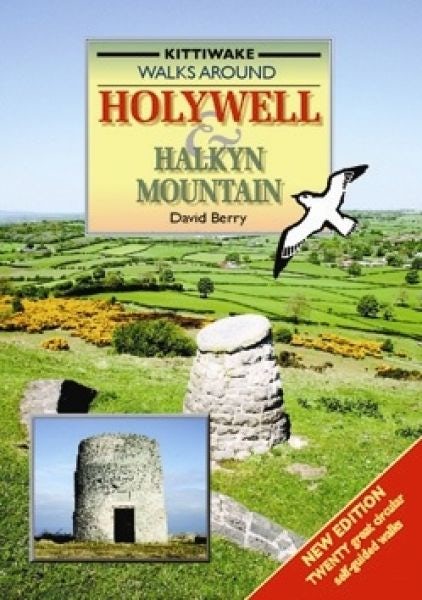 Cover image for Walking Around Holywell and Halkyn Mountain, isbn: 9781902302751