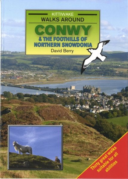 Cover image for Walks Around Conwy, isbn: 9781902302850