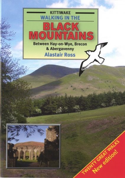 Cover image for Walking in the Black Mountains Between Hay-On-Wye, Brecon and Abergave Nny, isbn: 9781902302928