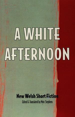 Cover image for White Afternoon & Other Stories, A - New Welsh Short Fiction, isbn: 9781902638003