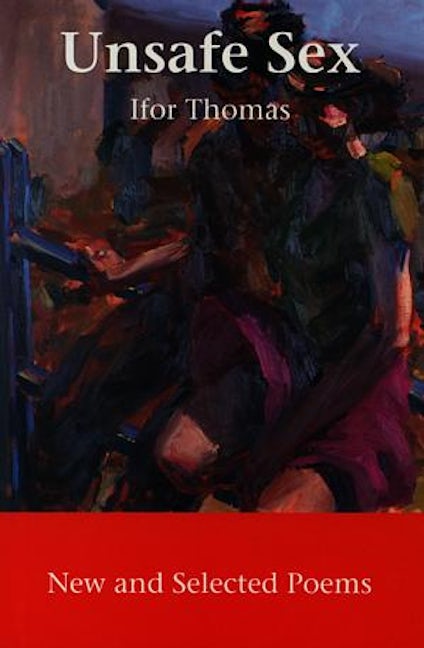 Cover image for Unsafe Sex - New and Selected Poems, isbn: 9781902638058
