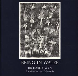 Cover image for Being in Water, isbn: 9781902638140