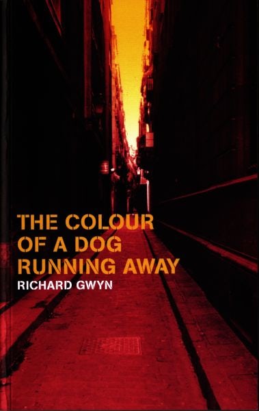 Cover image for Colour of a Dog Running Away, The, isbn: 9781902638546